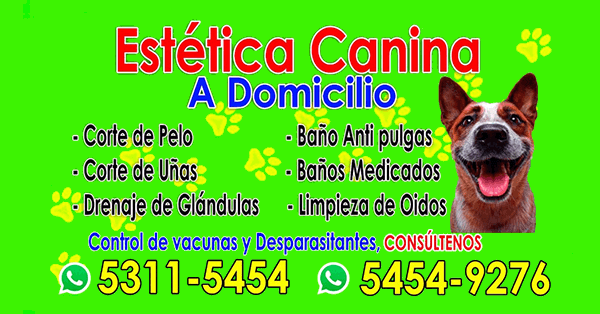 Estética Canina a domicilio en Guatemala