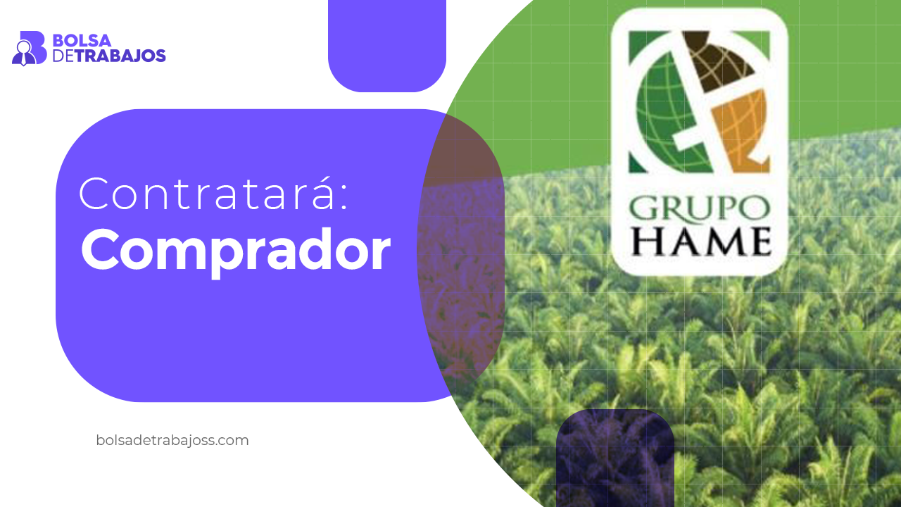Grupo HAME